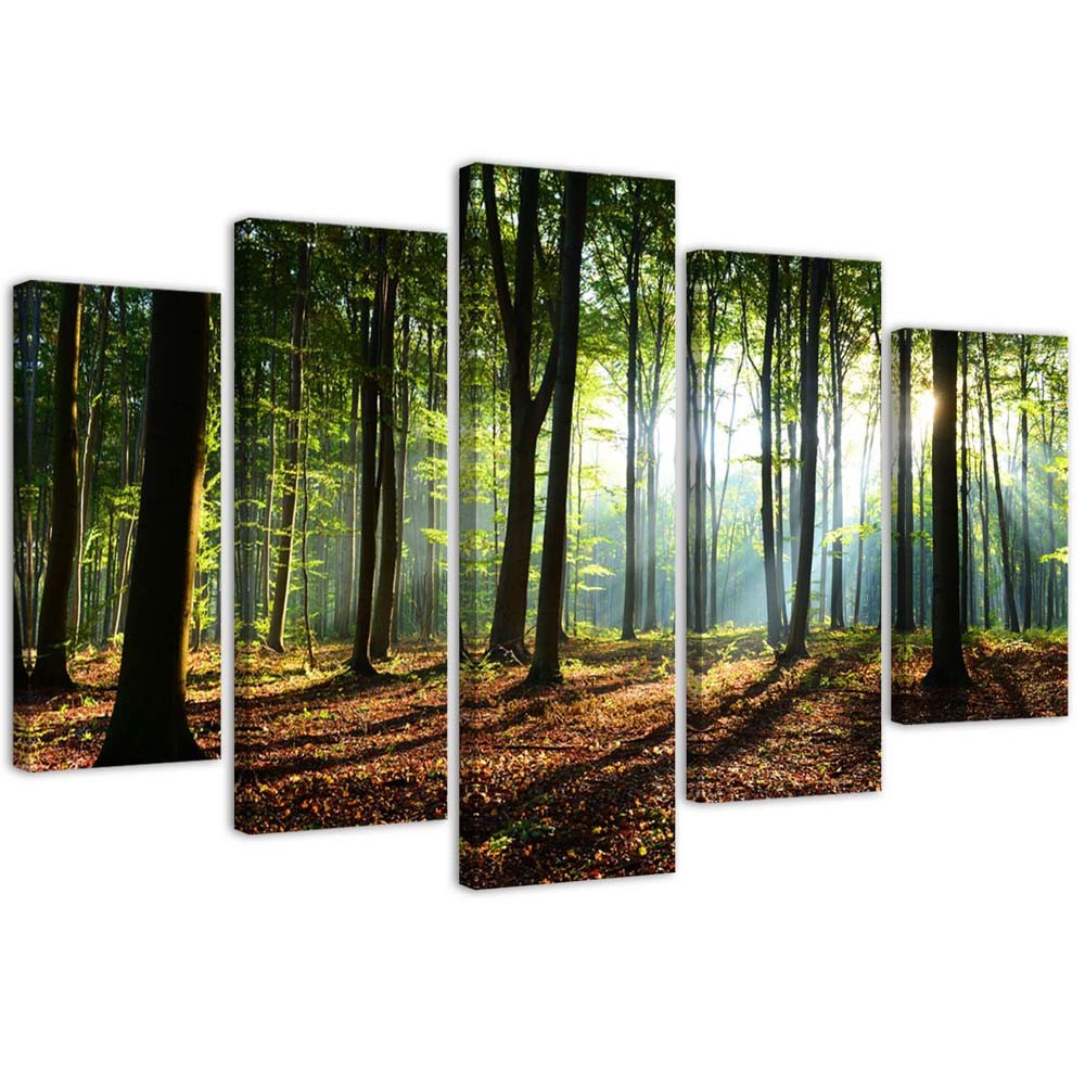 Penkių elementų deko plokštės ant drobės vaizdas, Saulės spinduliai miške
