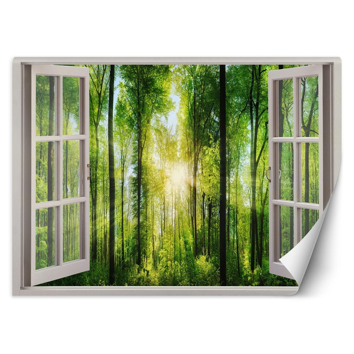 Fototapetai, Vaizdas pro langą saulės spinduliai miške